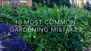 Grow a Thriving Garden this Spring: Essential mistakes to avoid this year!!