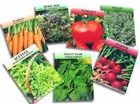 Veg & Flower Seeds