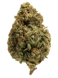 .38 Special Clone