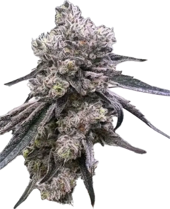 Black Ice Clone