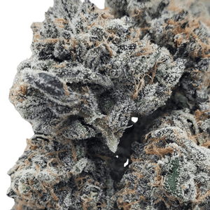 Blue Runtz Clone