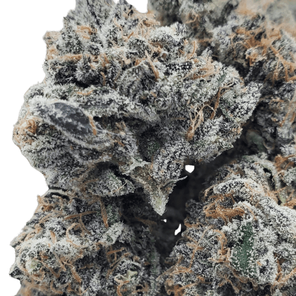 Blue Runtz Clone