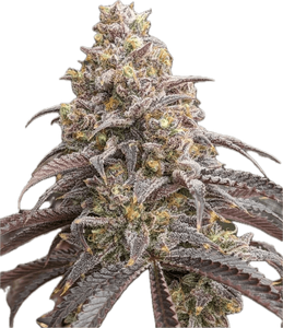 Blueberry Muffin Clone
