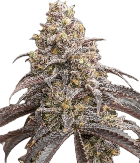 Blueberry Muffin Clone