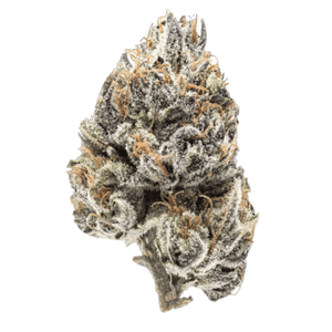 Blueberry Clone