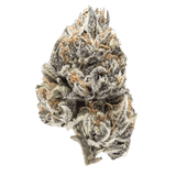 Blueberry Clone