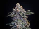 Cherry Punch Clone