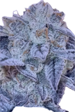 Daily Grapes #9 Clone