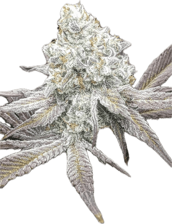 Dante's Inferno #7 Clone