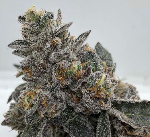 Candy Crusher Clone