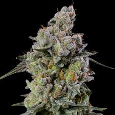 Ether Clone