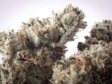 Gorilla Glue #4 Clone