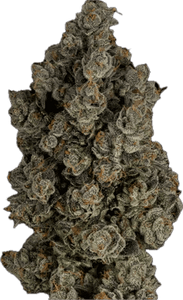Guava Tart Clone