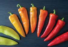 Pepper - Hungarian Hot Wax Pepper Seeds