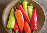 Pepper - Hungarian Hot Wax Pepper Seeds