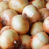 Onion - Yellow Sweet Spanish Onion Seed