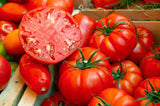 Tomato - Beefsteak Tomato Seed