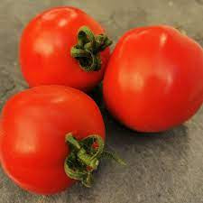 Tomato - Floridade Tomato Seed