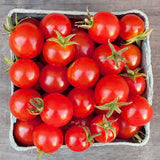 Tomato - Sweetie Cherry Tomato Seed