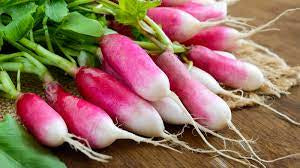 French Breakfast Radish Seed