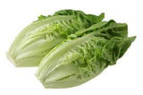 Lettuce - Romaine Parris Island Cos Seed