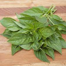 Lemon Basil Seed