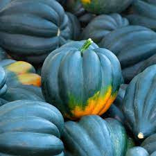 Squash - Table Queen Acorn Squash