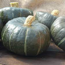 Burgess Buttercup Squash Seed