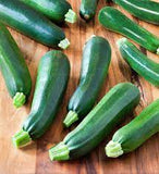 Zucchini - Black Beauty Zucchini Squash Seed