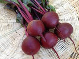 Beet - Detroit Dark Red Beet Seed