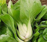 Pak Choi Cabbage Seed