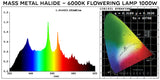 Mass Metal Halide 600 Watt Bulb