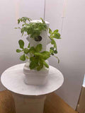 Tabletop Garden Tower