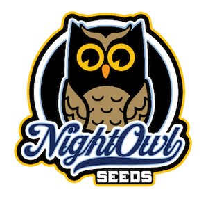 Night Owl - Spotless Mind Auto