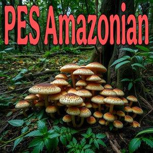 PES Amazonian Liquid Culture