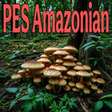 PES Amazonian Liquid Culture