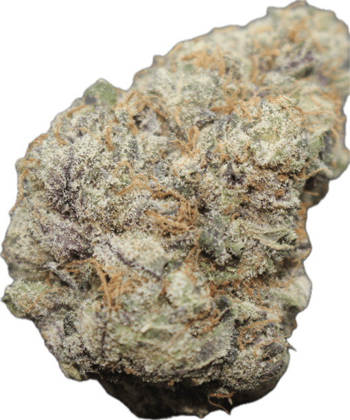 Gelato #41 x Zkittlez Clone