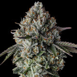 G Code Clone
