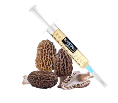 Morel Mushroom Liquid Culture Syringe