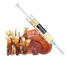 Reishi Mushroom Liquid Culture Syringe