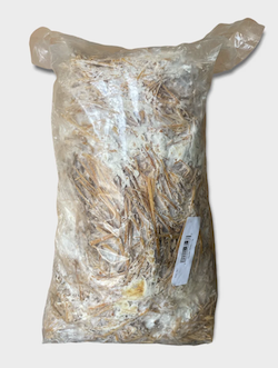 Blue Oyster Mushroom Straw Log (Living Mulch)