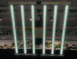 6-Bar 680W Mammoth Lighting Mint White Series with Emerald Green Canna Spectrum