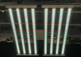 8-Bar 880W Mammoth Lighting Mint White Series with Emerald Green Canna Spectrum