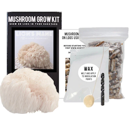 Organic Lion's Mane Mushroom Outdoor Log Growing Kit