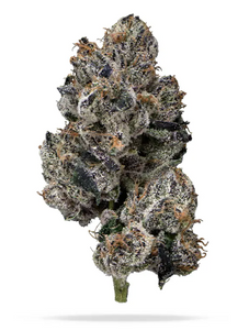 Lemon Guava Clone
