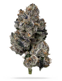 Lemon Guava Clone