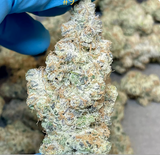 Daily Grapes #9 Clone