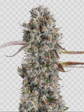 Gruntz Clone