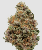 Gushers Clone