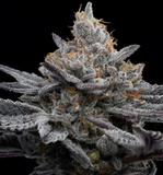 London Pound Cake Clone